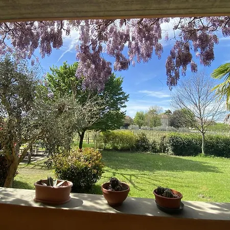 Ampio Vicino All'autodromo - Ample Near The Racing Circuit *