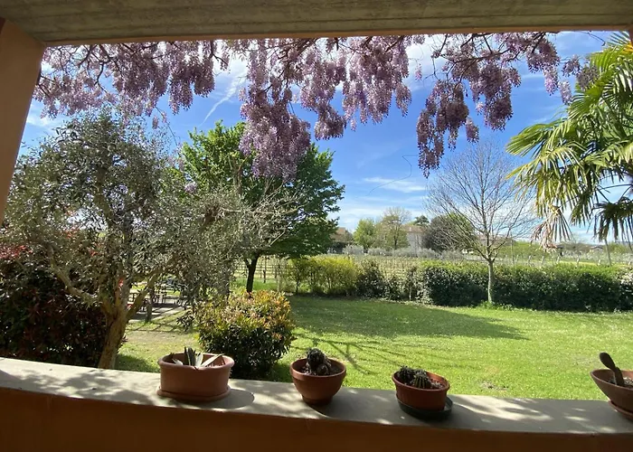 Ampio Vicino All'autodromo - Ample Near The Racing Circuit *